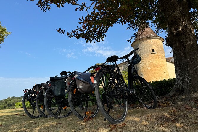 backcountry-e-bike-adventure-from-bordeaux-wine-tasting-lunch