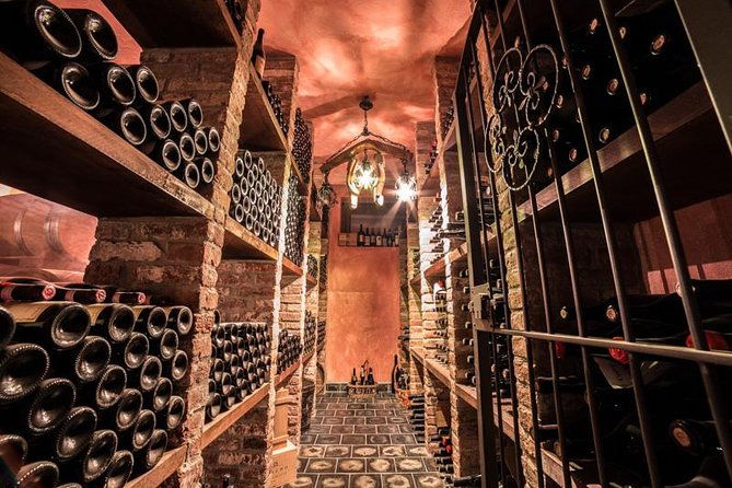 barolo-wine-and-food-tasting-at-piedmont-region-winery