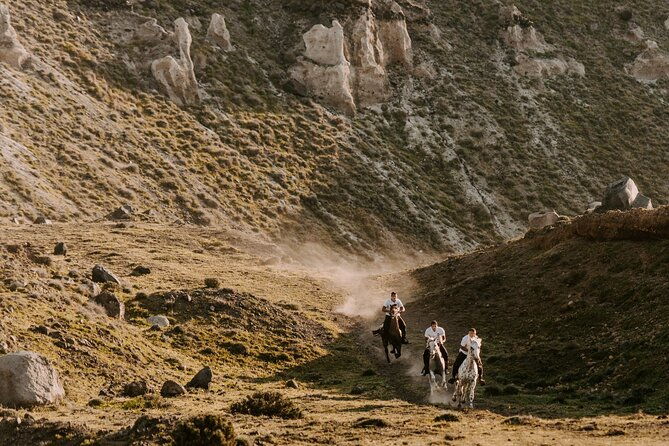 beach-gallop-horse-riding-safari-for-experienced-riders
