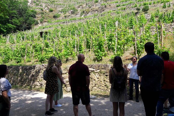 beaujolais-100-wine-tour-small-group-tour-with-tasting-from-lyon