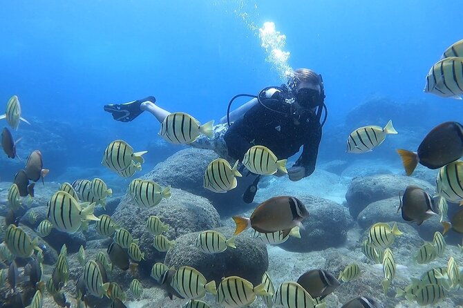 beginner-scuba-experience-with-video-package-in-honolulu