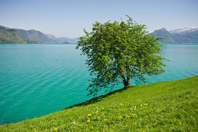 bergen-private-full-day-roundtrip-to-hardangerfjord-with-cruise