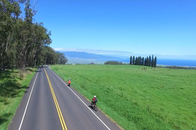 best-haleakala-downhill-self-guided-bike-tour-with-maui-sunriders