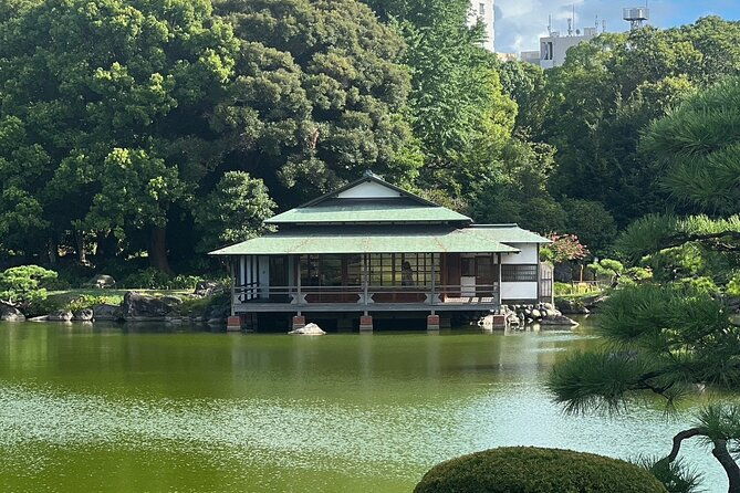 best-of-downtown-tokyo-nature-coffee-japanese-sweets-tasting