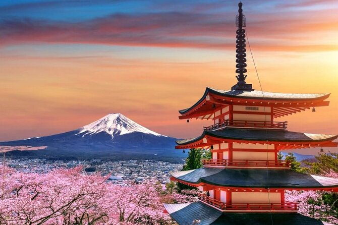 beyond-the-ordinary-private-mount-fuji-cherry-blossom-tour