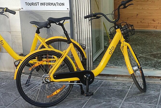 bike-rental-per-day-in-seville