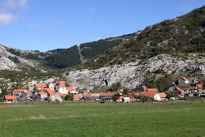 bike-tour-panoramic-downhill-from-njegusi-and-kotor-serpentines