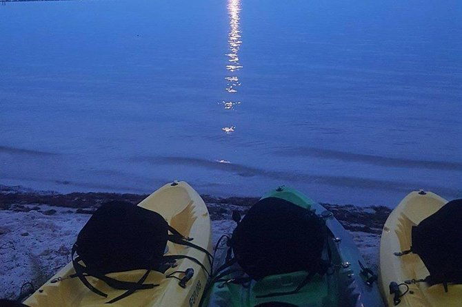 bioluminescence-night-kayaking-tour-of-merritt-island-wildlife-refuge