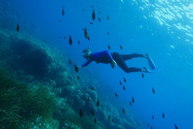 boat-trip-and-snorkeling-in-villefranche-sur-mer