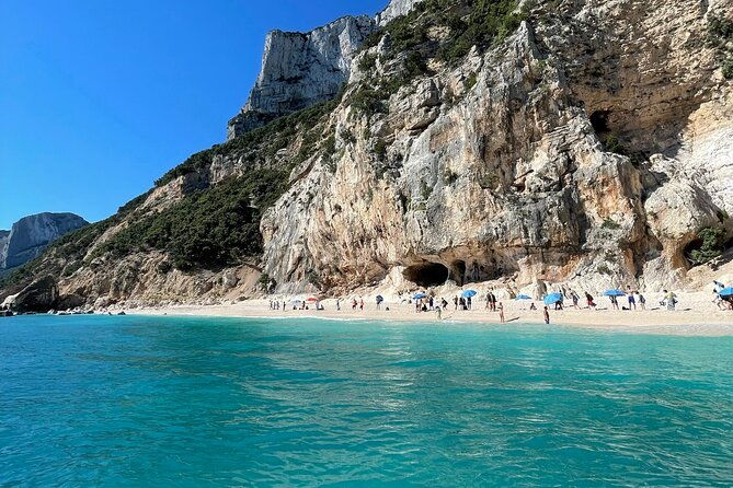 boat-trip-fico-cave-cala-mariolu-gabbiani-biriala