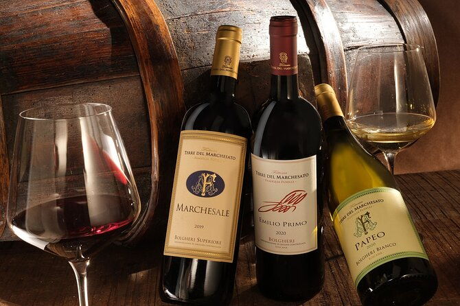 bolgheri-classic-wine-tasting-with-winery-tour