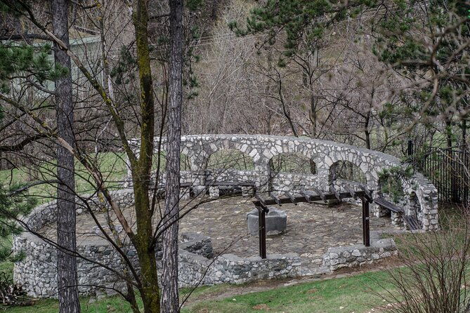 bran-castle-bear-sanctuary-and-rasnov-fortress-half-day-tour