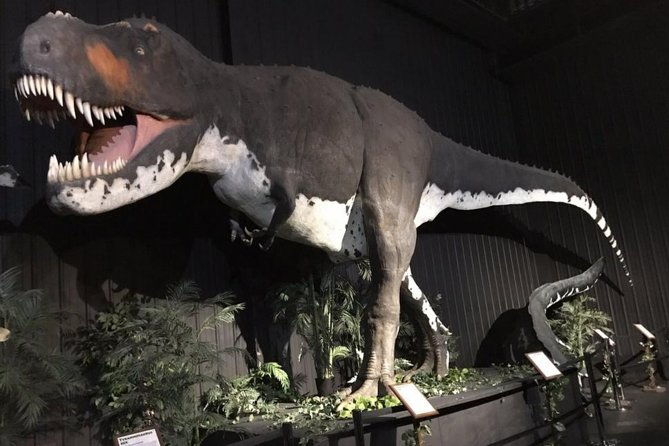 branson-dinosaur-museum-admission-ticket