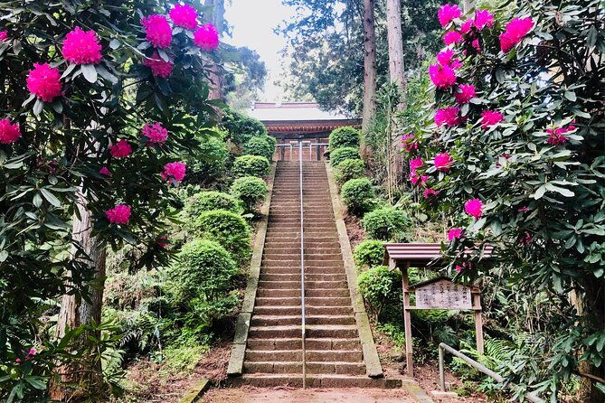 buddha-bamboo-zen-bespoke-kamakura-private-walking-tours