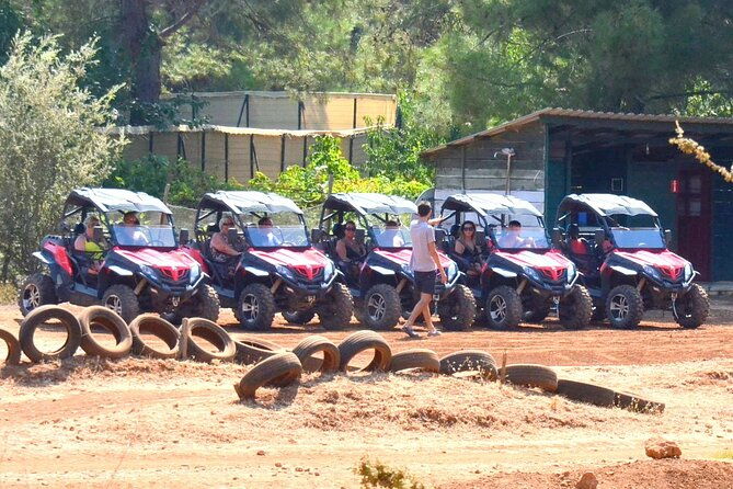buggy-safari