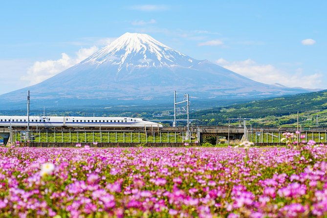 bullet-train-and-mt-fuji-famous-food-tour