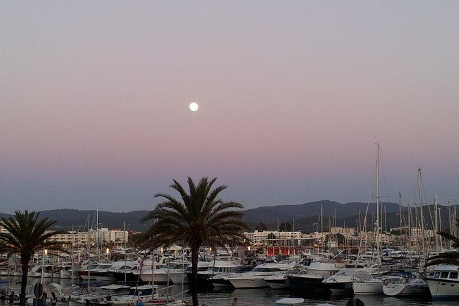 cafe-del-mar-private-boat-trip