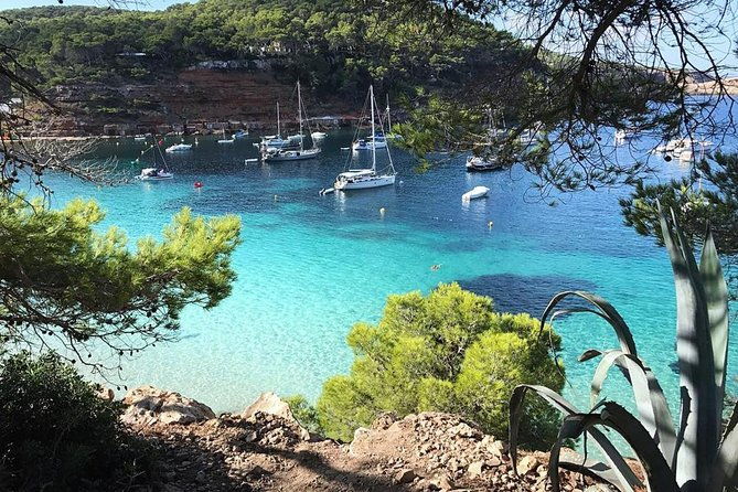 cala-salada-and-unspoiled-north-beach-tour-snorkelling-and-aquarium