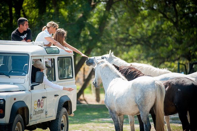 camargue-4x4-safari-vip-tour