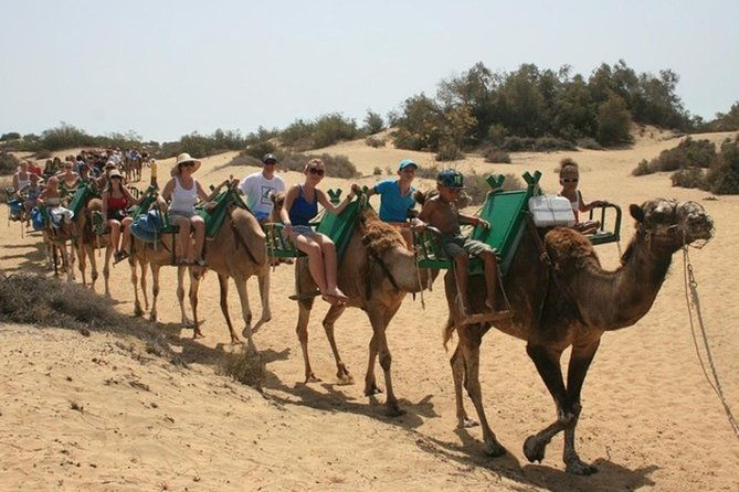 camel-safari-through-the-dunes-of-maspalomas