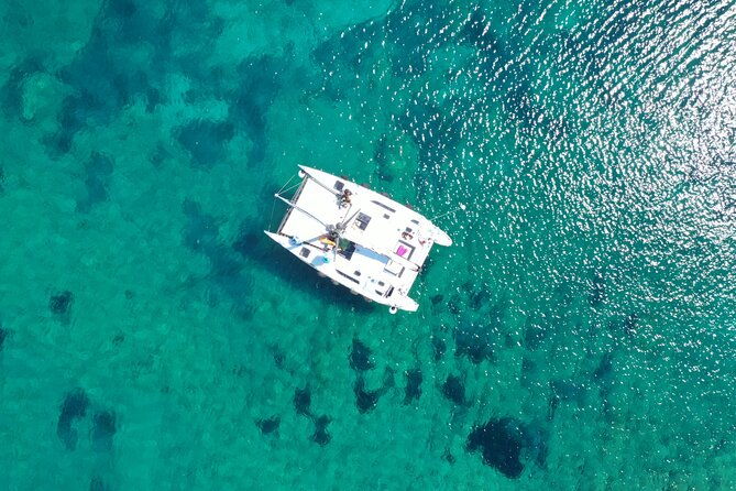 catamaran-excursions-in-the-asinara-island-national-park
