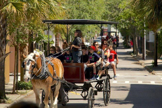 charlestons-historic-residential-horse-and-carriage-tour