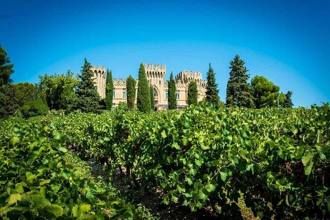 chateauneuf-du-pape-wine-tour