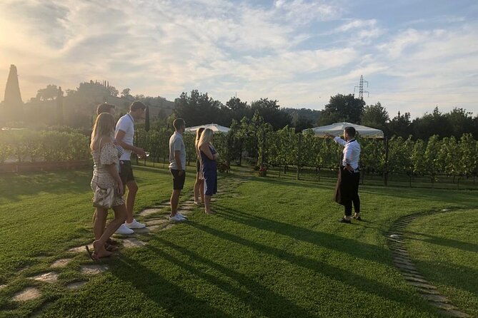 chianti-and-san-gimignano-2-wineries-with-pairing-lunch