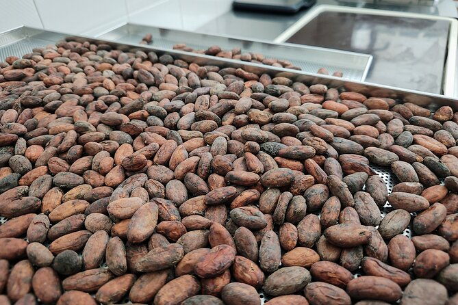 chocolate-lesson-in-modica-for-small-groups