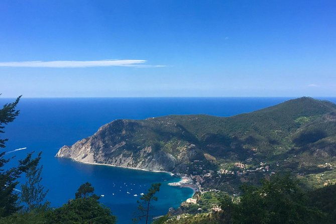 cinque-terre-private-tour-from-livorno