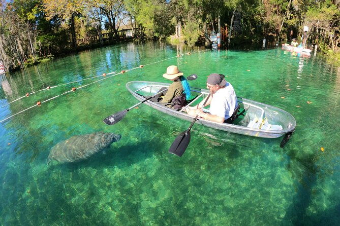 clear-kayak-manatee-ecotour-of-crystal-river