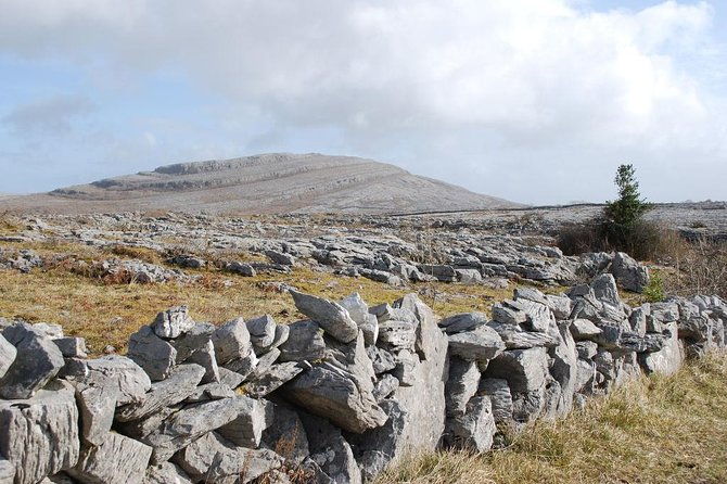 cliffs-of-moher-day-tour-from-cork-including-the-wild-altanic-way