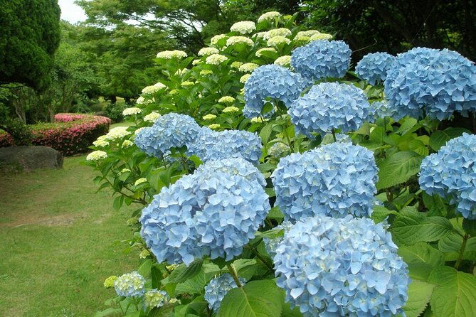 colors-of-japan-fukuoka-nokonoshima-island-park-wagyu-bbq