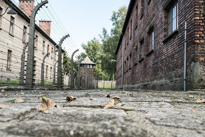 combined-auschwitz-birkenau-and-salt-mine-private-chauffeur-from-krakow