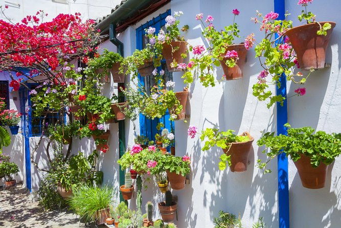 cordobas-authentic-patios-2-hour-tour-with-tickets
