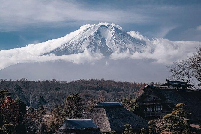 customizable-private-tour-in-mt-fuji-from-tokyo-by-car-or-van