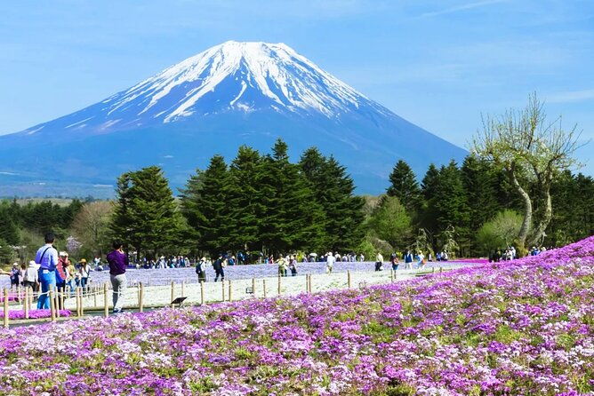 day-tour-at-mt-fuji-kawaguchi-lake-and-oshino-hakkai-in-tokyo