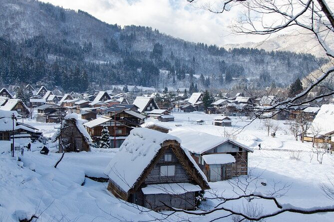 day-tour-from-nagoya-in-gujo-hachiman-takayama-and-shirakawago