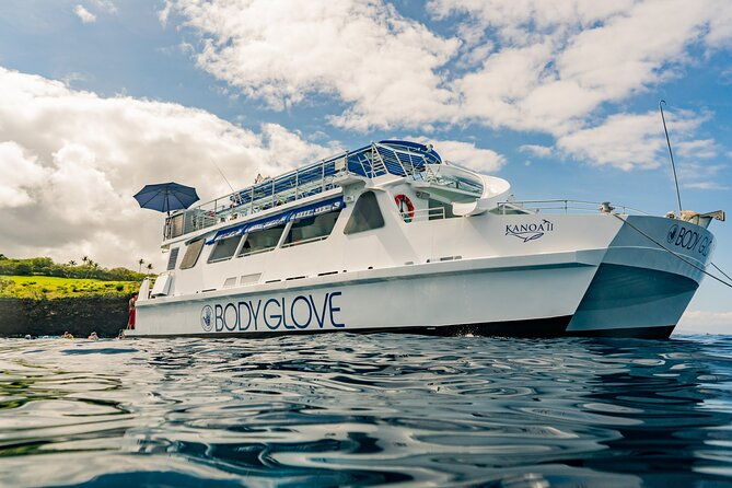 deluxe-snorkel-dolphin-watch-aboard-a-luxury-catamaran-from-kailua-kona