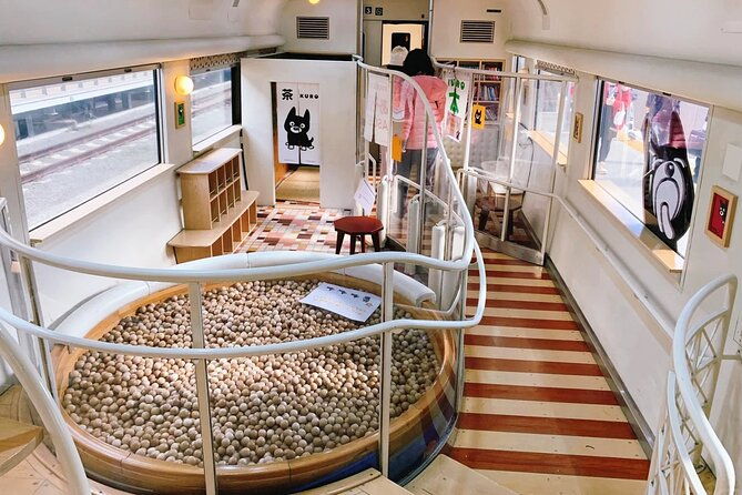 discover-kumamoto-with-aso-boy-scenic-train