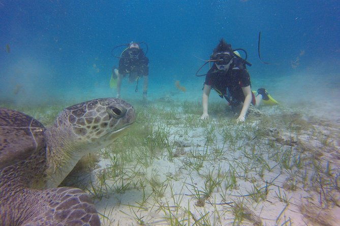 discover-scuba-diving-2