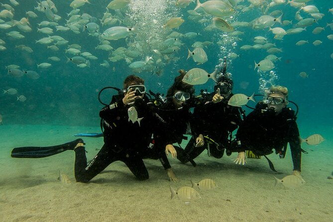 discover-scuba-diving-3