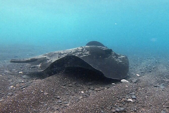 discover-scuba-diving-in-costa-calma