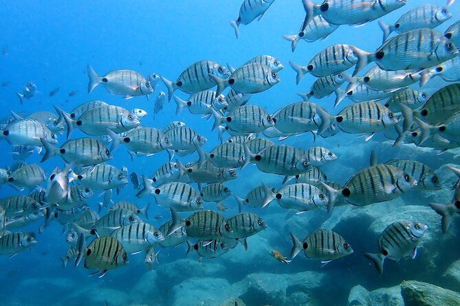 discover-scuba-diving-in-lanzarote-costa-teguise