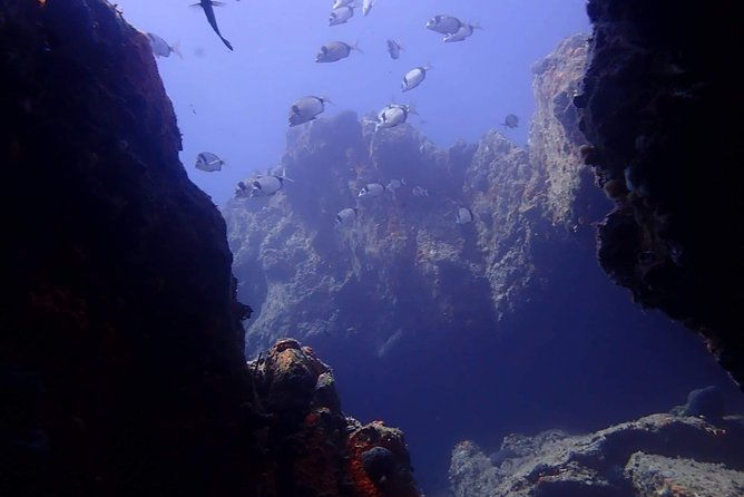 discover-scuba-diving-in-naxos-greece
