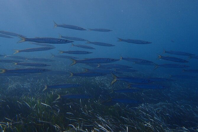 discover-scuba-diving-in-santorini