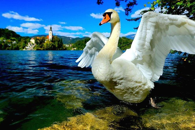 discover-slovenia-ljubljana-bled-lake-from-zagreb
