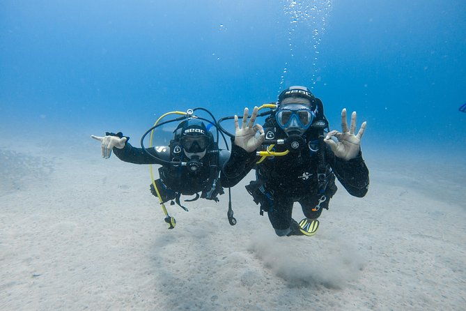 discover-the-underwater-world-of-lanzarote