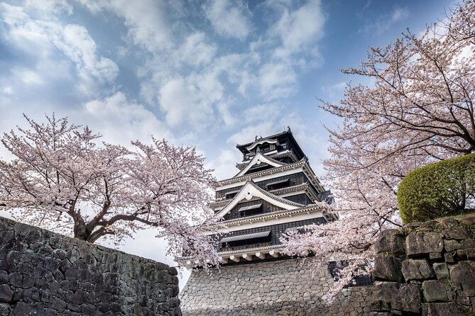 discover-the-wonders-of-kumamoto-tour-ramen-lunch-included
