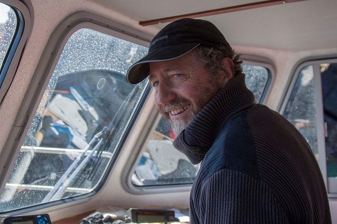 dolphin-and-whale-watching-tour-from-dingle